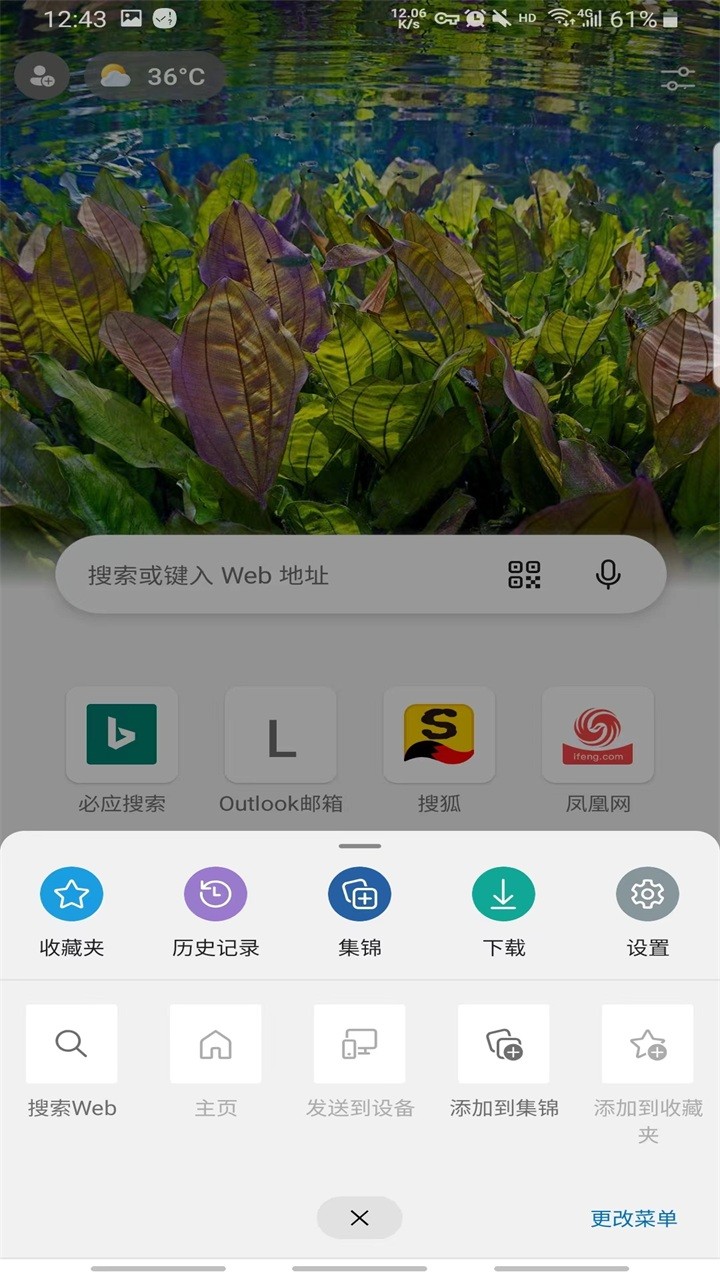 edge浏览器beta版