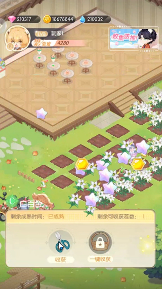 明星花店手游