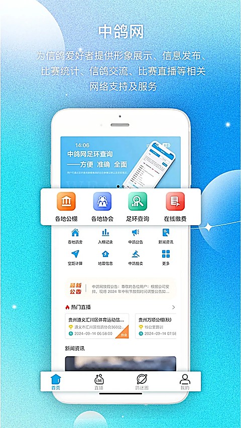 中鸽网