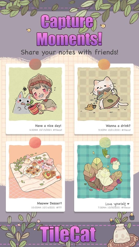 瓷砖猫正版