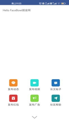 facebowl脸盆网