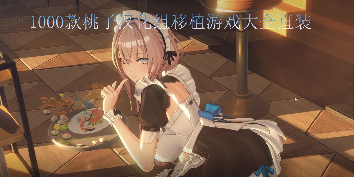 1000款桃子汉化组移植游戏大全直装