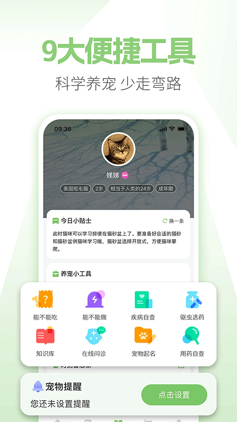 E宠商城