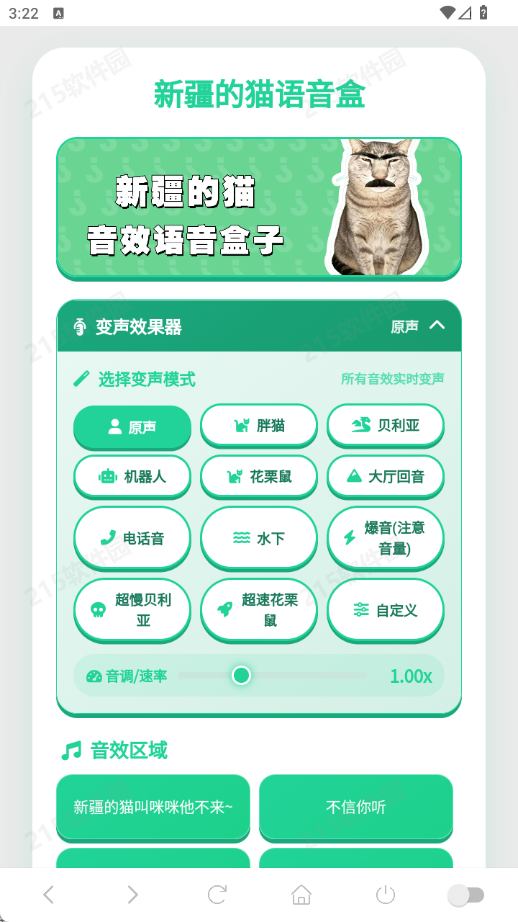 新疆的猫语音盒