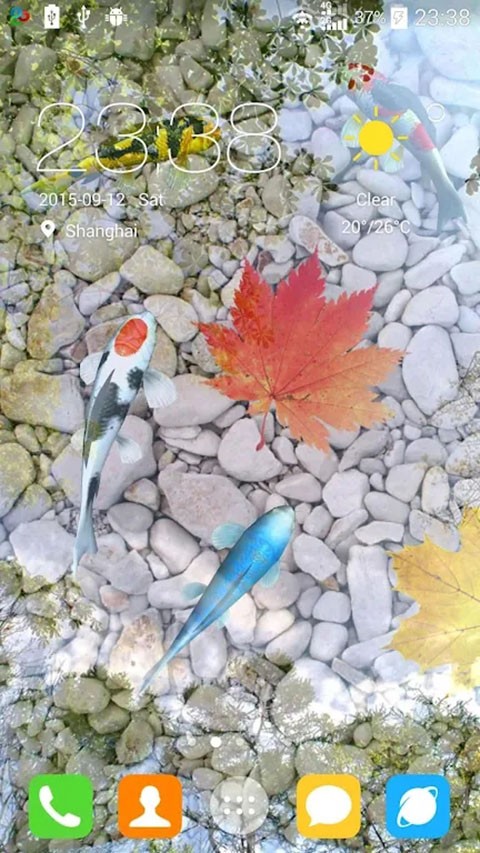 鱼池动态壁纸APP
