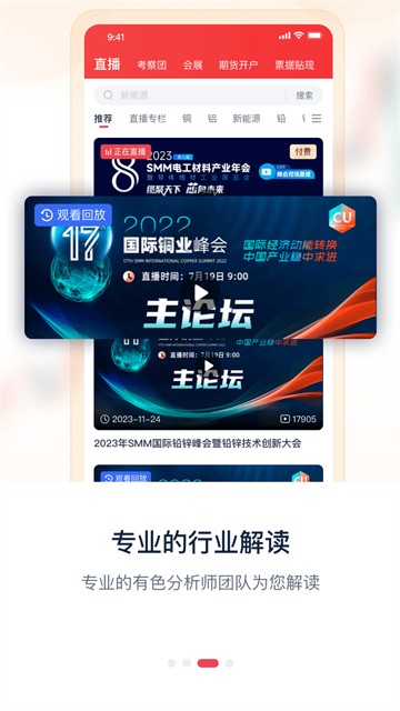 掌上有色