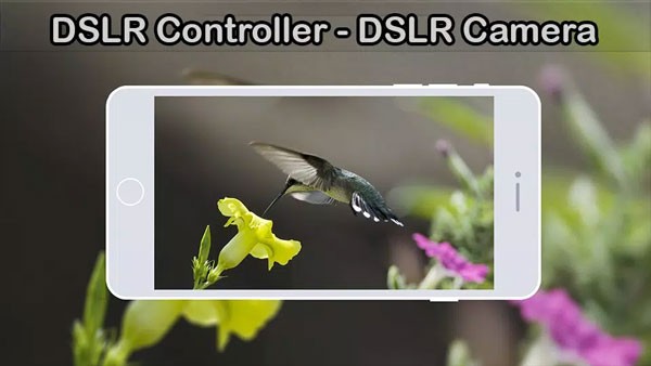 DSLR Controller单反控制器