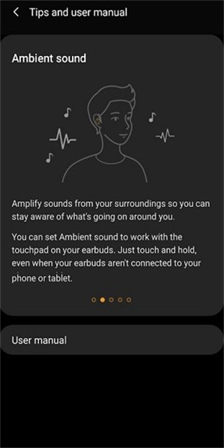Galaxy Buds+ Manager