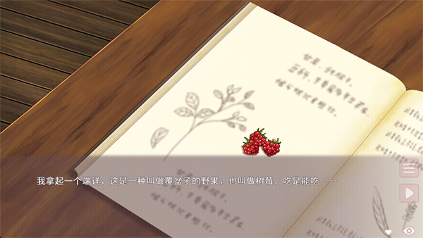 狐姬零汉化版