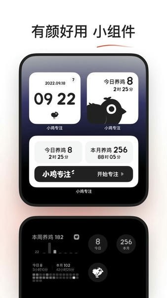 小鸡专注