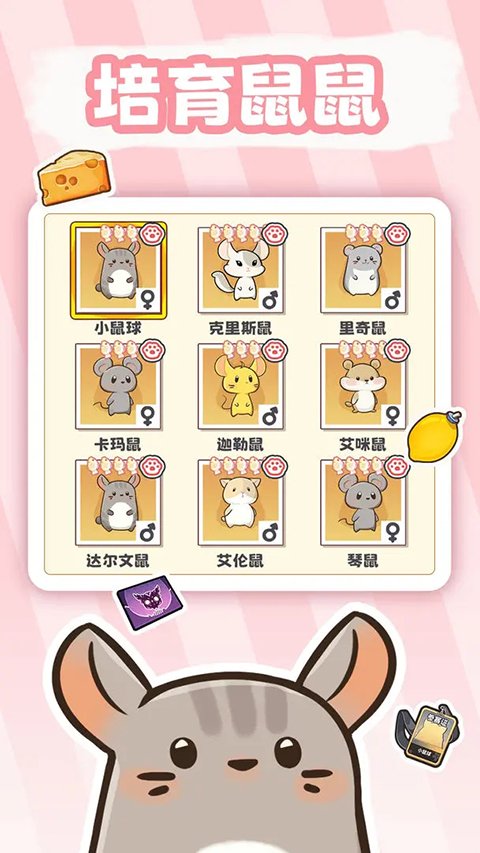 社会我猫哥汉化版
