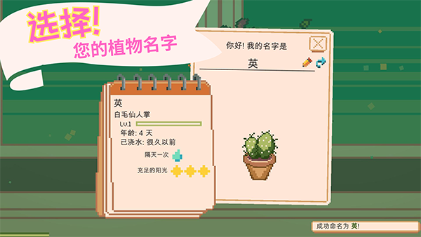 窗边花园免广告版
