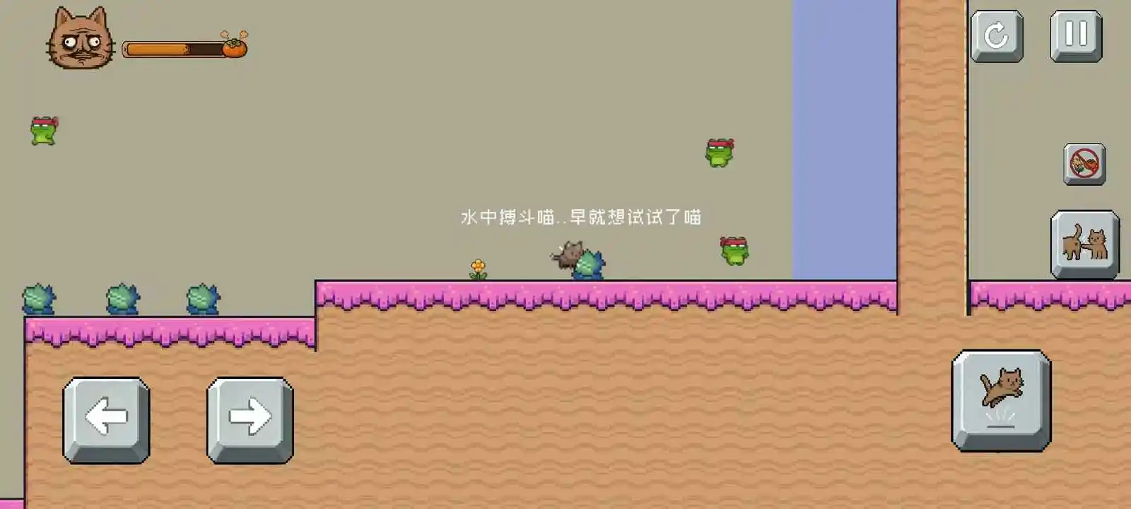 药柿了喵官方版