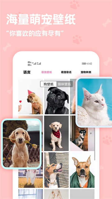 动物语言翻译器App