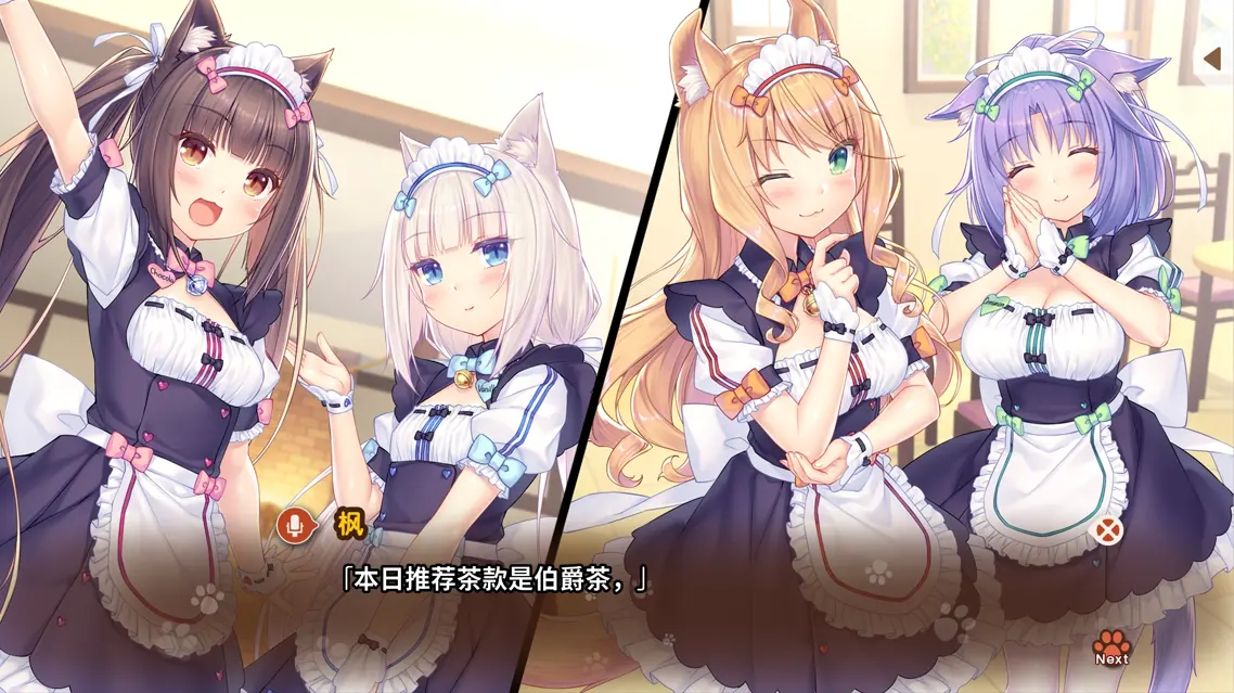 猫娘乐园2