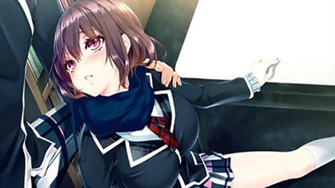 精灵育种场正版