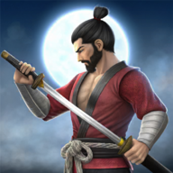 忍者武士隆游戏