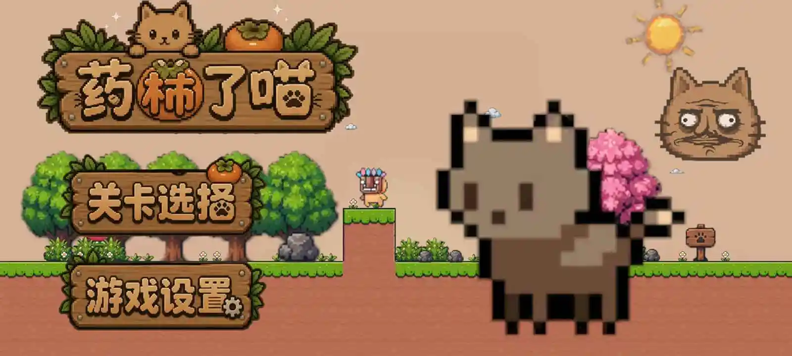 药柿了喵官方版