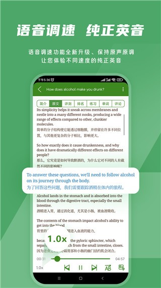 BBE英语