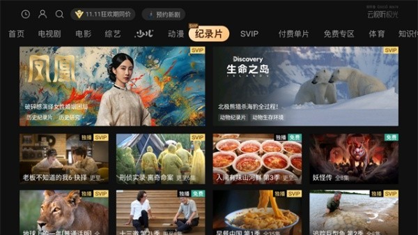 云视听极光