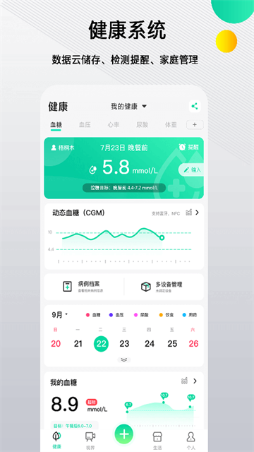 先锋鸟