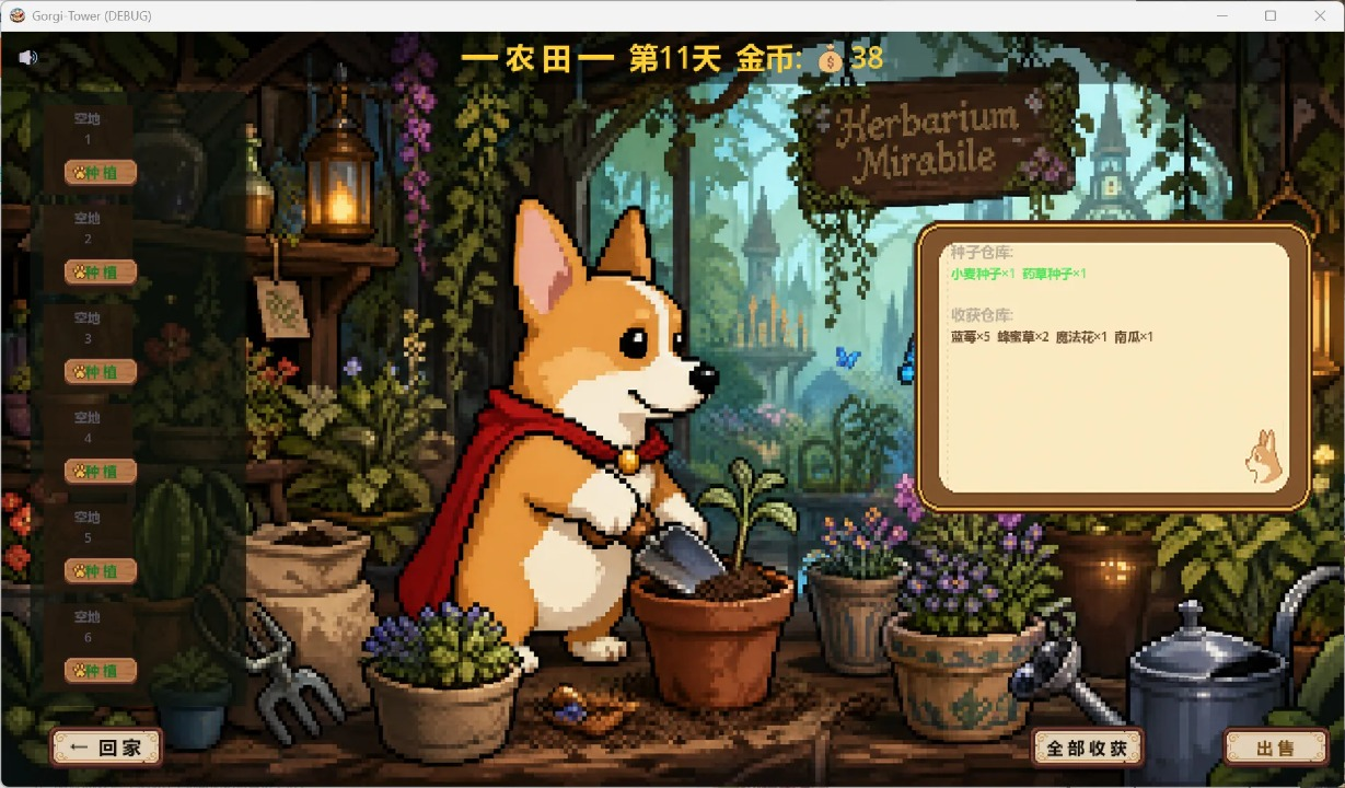 柯基塔最新版