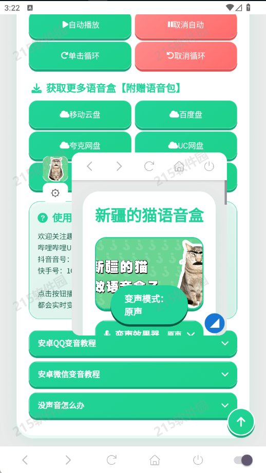 新疆的猫语音盒