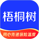 梧桐树保险