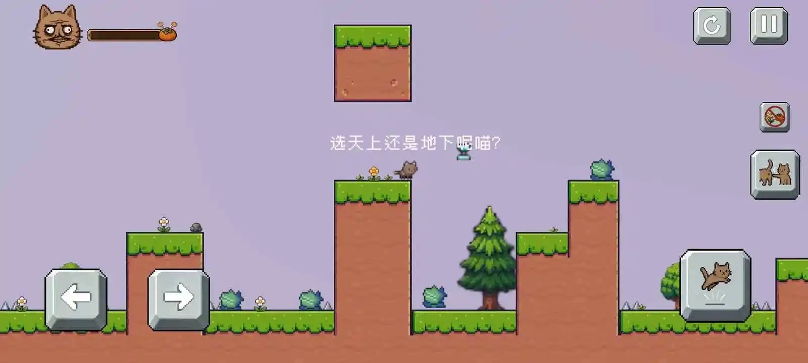药柿了喵官方版