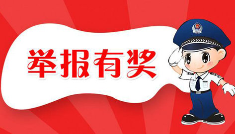 随手拍举报app-全国随手拍违章app