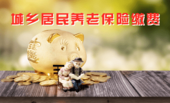 养老保险缴费app