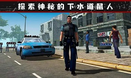 我的流浪生涯游戏