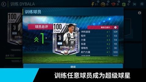 fifa soccer