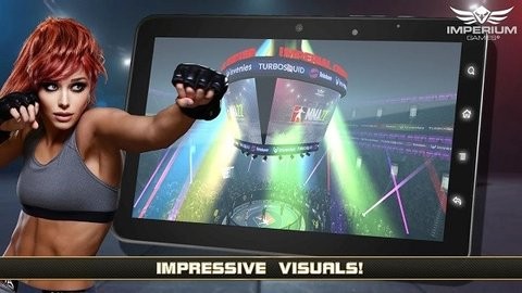 mma格斗冲突
