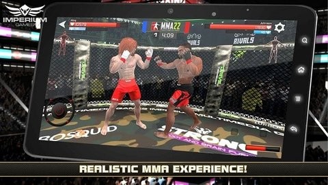 mma格斗冲突