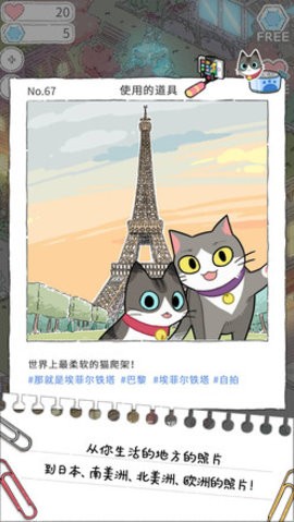 猫友圈：猫咪的旅行