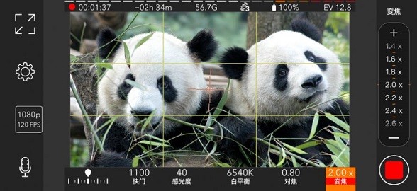 promovie专业摄像机