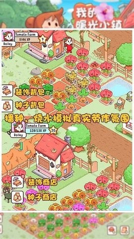 我的曙光小镇官方正版