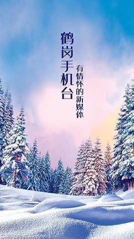 智慧鹤岗