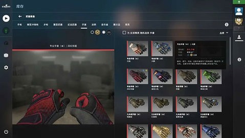 csgo单机版中文版