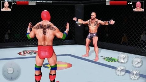MMA擂台拳击格斗3D