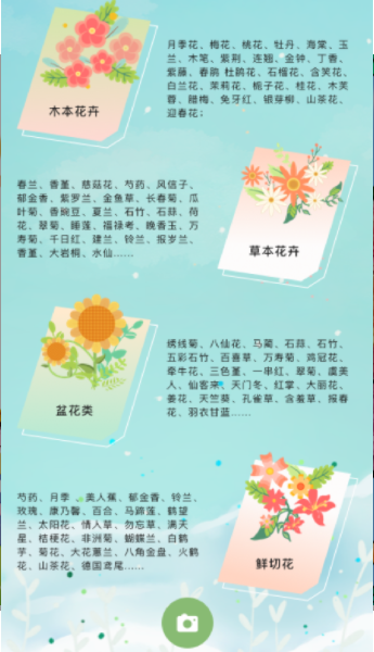认识花