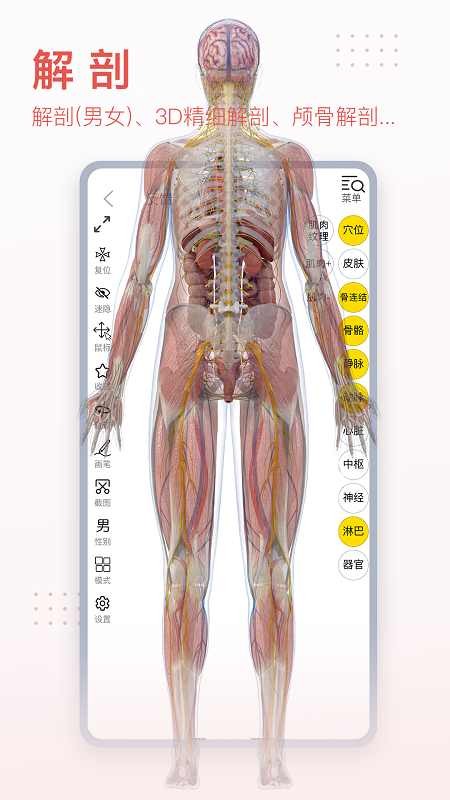 3Dbody解剖手机版