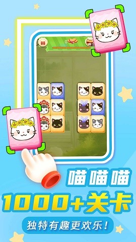 猫了个咪