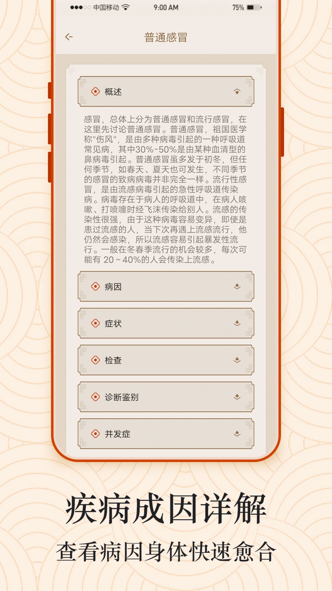 Ai经络穴位图