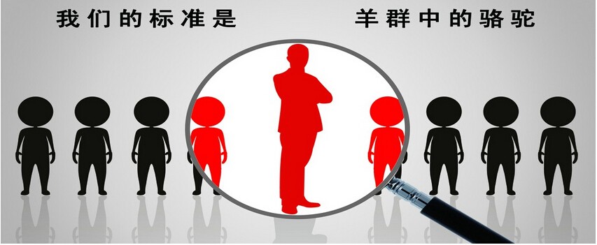 小众招聘软件合集