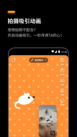 萌卡