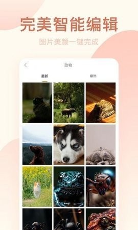 轻氧相机下载安装免费版