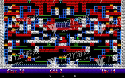 Maze