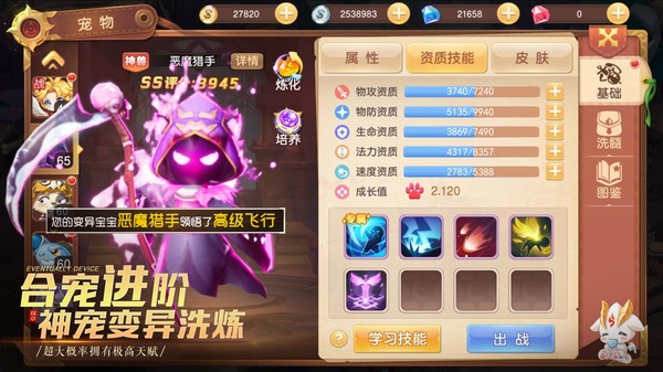 驯龙物语